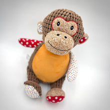 Load image into Gallery viewer, Sensory Monkey