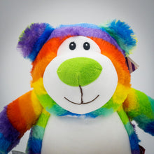 Load image into Gallery viewer, Rainbow Bear
