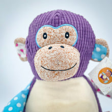 Load image into Gallery viewer, Sensory Monkey