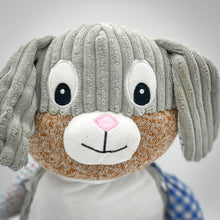 Load image into Gallery viewer, Sensory Bunny