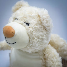 Load image into Gallery viewer, Guardian Bear
